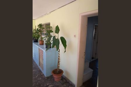 Apartamento à venda com 78m², 2 quartos e sem vagaÁrea comum