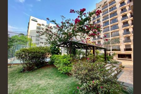 Apartamento à venda com 3 quartos, 100m² em Jardim das Paineiras, Campinas