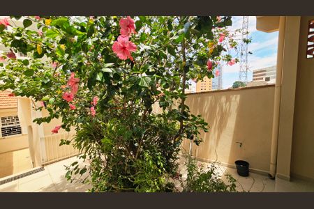 Casa à venda com 347m², 3 quartos e 1 vagaQuintal