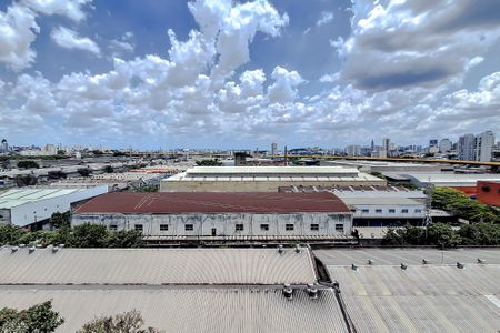 Apartamento para alugar com 50m², 2 quartos e 1 vagaVista do Quarto 1