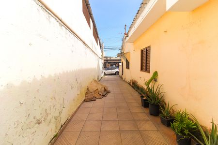 Casa para alugar com 40m², 1 quarto e sem vagaQuintal