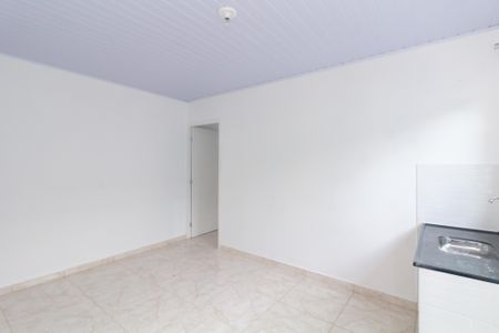 Apartamento para alugar com 40m², 1 quarto e sem vagaCozinha