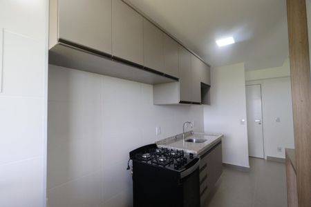 Cozinha de apartamento para alugar com 1 quarto, 45m² em Bonfim Paulista, Ribeirão Preto