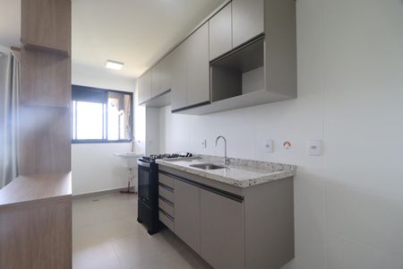 Cozinha de apartamento para alugar com 1 quarto, 45m² em Bonfim Paulista, Ribeirão Preto
