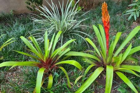 Apartamento à venda com 72m², 2 quartos e 2 vagas