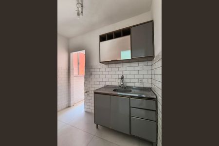 Apartamento para alugar com 55m², 2 quartos e 1 vagaCozinha - Armários
