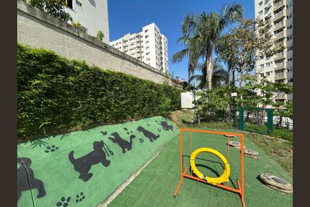 Apartamento para alugar com 55m², 2 quartos e 1 vagaPetplay