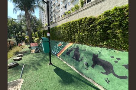 Apartamento para alugar com 55m², 2 quartos e 1 vagaPetplay