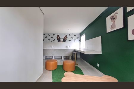 Apartamento para alugar com 39m², 2 quartos e sem vagapet care