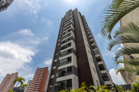 Apartamento à venda com 60m², 2 quartos e 1 vaga Apartamento à venda com 60m², 2 quartos e 1 vagaPiscina