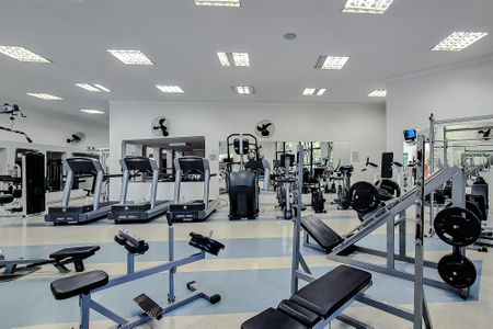 Apartamento para alugar com 600m², 4 quartos e 5 vagasÁrea comum - Academia