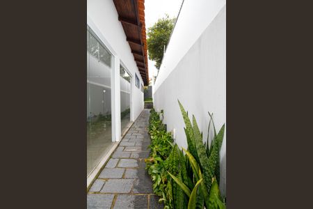 Casa à venda com 379m², 3 quartos e 5 vagasCorredor Lateral Direito