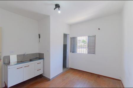 Sala/Quarto de kitnet/studio para alugar com 1 quarto, 18m² em Ipiranga, São Paulo