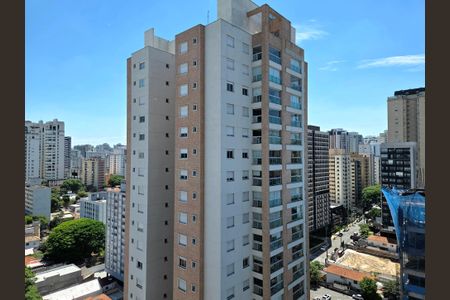 Studio para alugar com 24m², 1 quarto e sem vagaVista