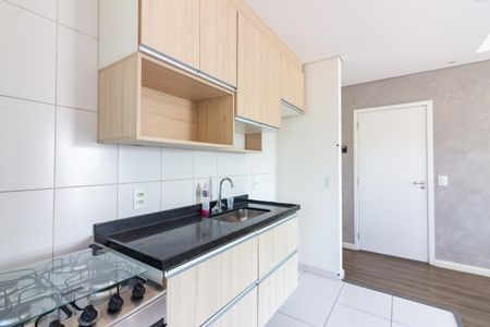 Apartamento para alugar com 60m², 2 quartos e 1 vagaCozinha 