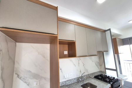 Apartamento para alugar com 57m², 2 quartos e 2 vagasDetalhe da Cozinha 