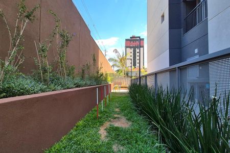 Apartamento para alugar com 57m², 2 quartos e 2 vagasÁrea comum - Espaço Pet 