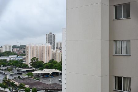 Vista de apartamento para alugar com 2 quartos, 41m² em Vila Nova das Belezas, São Paulo
