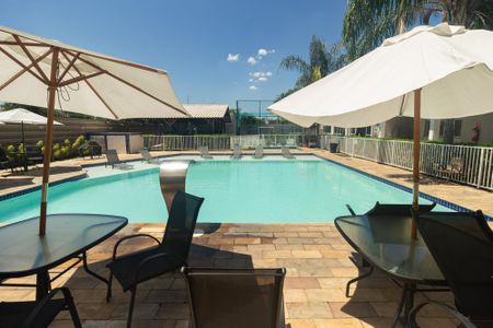 Apartamento para alugar com 49m², 2 quartos e 1 vaga Apartamento para alugar com 49m², 2 quartos e 1 vagaÁrea comum - Piscina