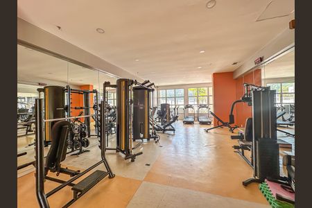 Apartamento à venda com 117m², 3 quartos e 3 vagas