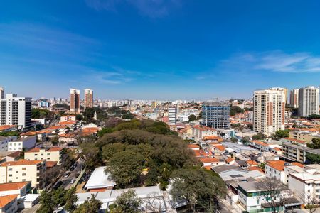 Apartamento para alugar com 24m², 1 quarto e sem vagaCobertura - Vista