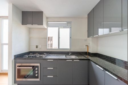 Apartamento para alugar com 45m², 2 quartos e 1 vagaCozinha - Armários