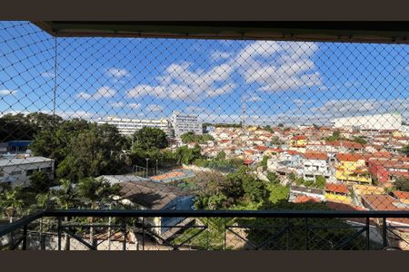 Apartamento à venda com 3 quartos, 72m² em Vila Industrial (campinas), Campinas