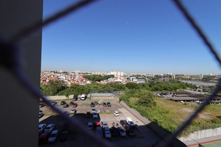 Vista do Quarto 1 de apartamento para alugar com 2 quartos, 55m² em Parque Sao Vicente, Santo André