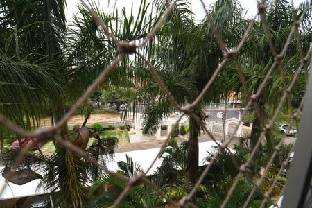 Quarto 1 - Vista de apartamento para alugar com 2 quartos, 60m² em Vila Nova Teixeira, Campinas