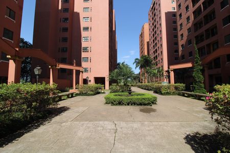 Apartamento para alugar com 64m², 3 quartos e 1 vagaÁrea comum