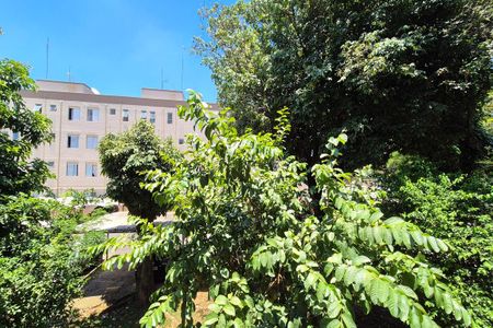 Vista do Quarto 2  de apartamento à venda com 2 quartos, 52m² em Vila Padre Manoel de Nobrega, Campinas