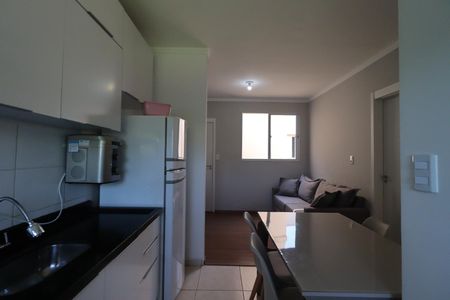 Cozinha de apartamento para alugar com 2 quartos, 45m² em Recreio das Acacias, Ribeirão Preto
