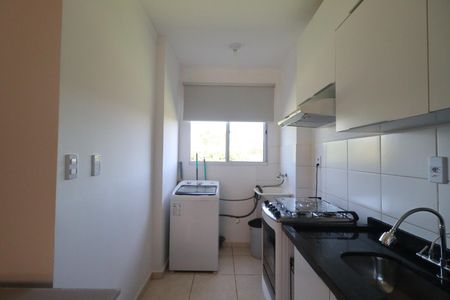 Cozinha de apartamento para alugar com 2 quartos, 45m² em Recreio das Acacias, Ribeirão Preto