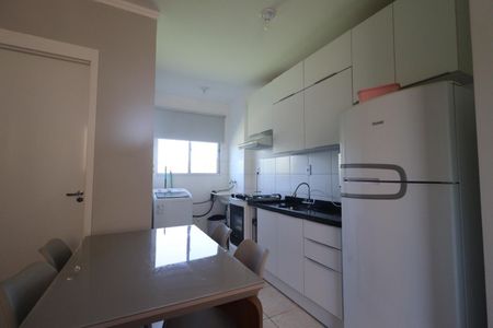 Cozinha de apartamento para alugar com 2 quartos, 45m² em Recreio das Acacias, Ribeirão Preto