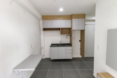 Apartamento para alugar com 39m², 2 quartos e 1 vagaCozinha - Armários