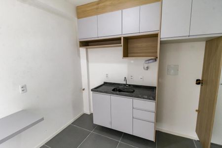 Apartamento para alugar com 39m², 2 quartos e 1 vagaCozinha - Armários