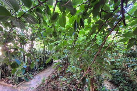 Casa à venda com 160m², 4 quartos e 2 vagasVista do Quarto 1 