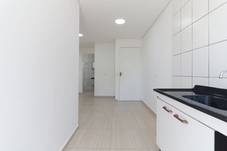 Apartamento para alugar com 42m², 2 quartos e sem vagaCozinha 
