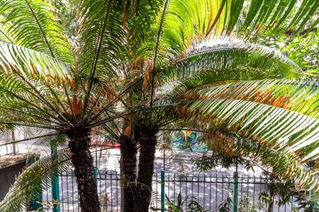 Vista do Quarto 1 de apartamento para alugar com 2 quartos, 69m² em Consolação, São Paulo
