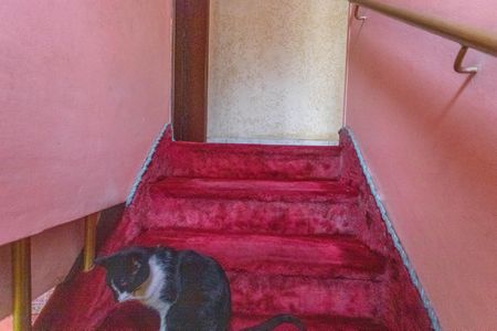 Casa à venda com 300m², 4 quartos e 2 vagasEscada 