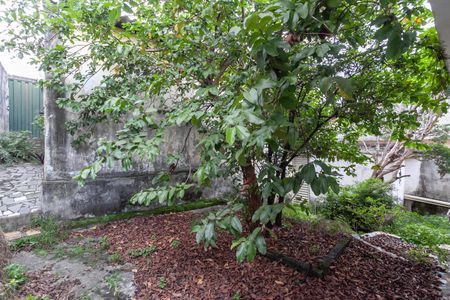 Casa para alugar com 360m², 3 quartos e 2 vagas Casa para alugar com 360m², 3 quartos e 2 vagasQuintal