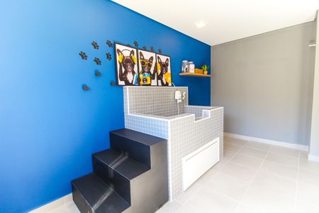 Apartamento para alugar com 32m², 2 quartos e sem vagaPet care