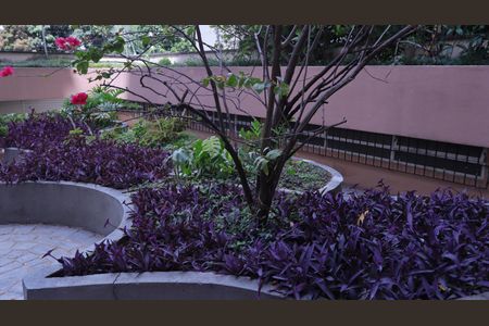 Apartamento para alugar com 30m², 1 quarto e 1 vagaÁrea de Convivência