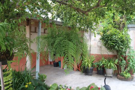Casa à venda com 1200m², 3 quartos e 4 vagasQuintal