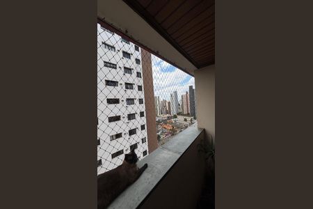 Apartamento à venda com 180m², 3 quartos e 3 vagasSala - Sala de Jantar Varanda