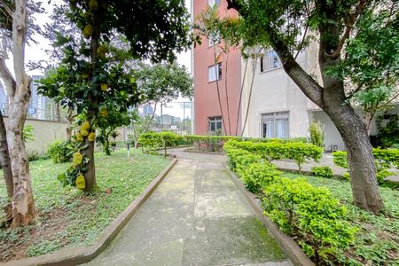 Apartamento para alugar com 52m², 2 quartos e 1 vaga Apartamento para alugar com 52m², 2 quartos e 1 vagaÁrea comum