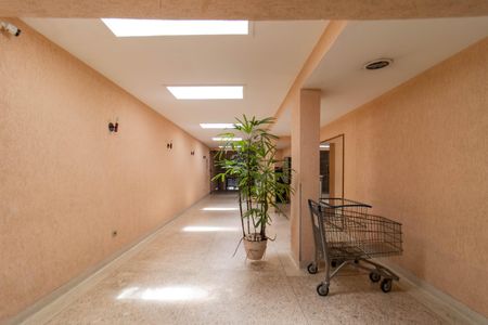 Apartamento para alugar com 127m², 3 quartos e sem vagaHall de entrada