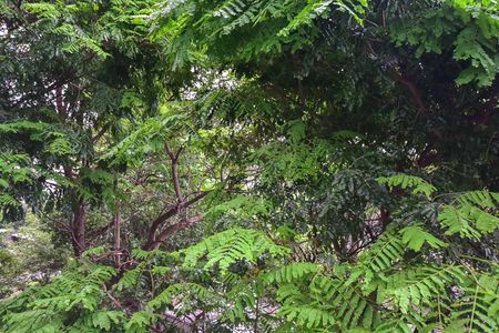 Apartamento para alugar com 125m², 3 quartos e 2 vagasVista do Quarto 1