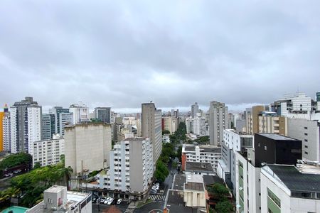 Vista da Suite 1 de apartamento para alugar com 3 quartos, 110m² em Funcionários, Belo Horizonte