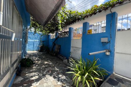 Casa para alugar com 300m², 4 quartos e 5 vagasQuintal